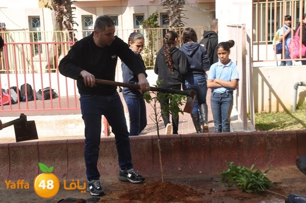 trees shamela 0321 (15).JPG